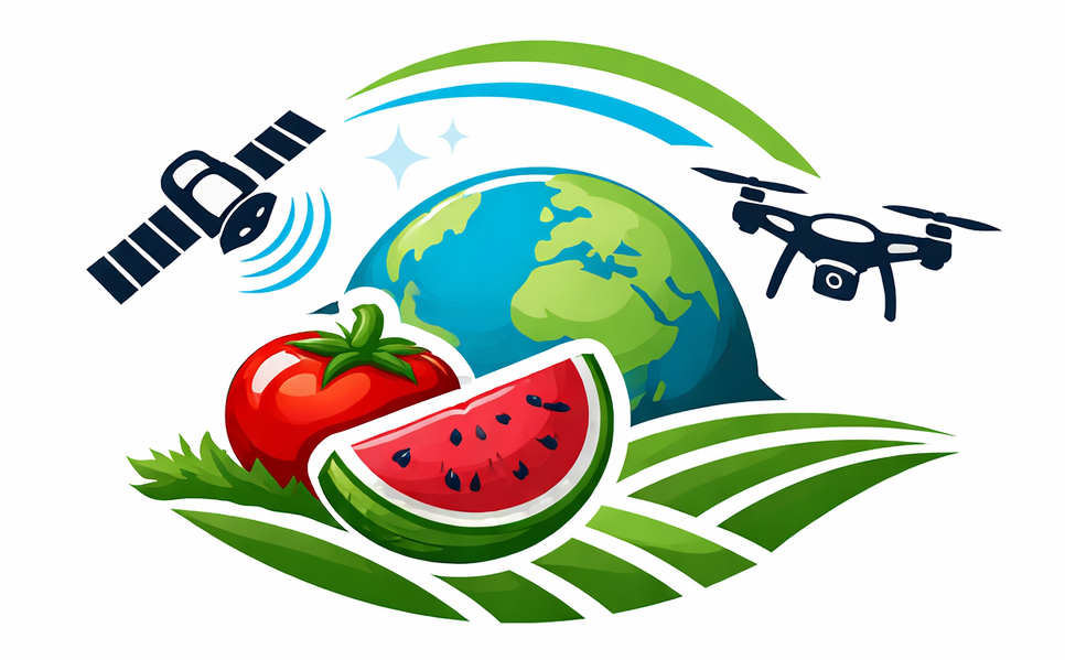 Проект Илина Зеленчуци